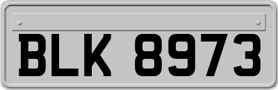 BLK8973
