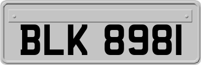 BLK8981