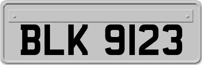 BLK9123