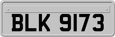 BLK9173