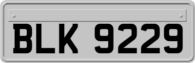 BLK9229