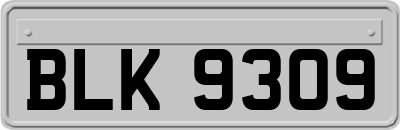 BLK9309