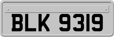 BLK9319