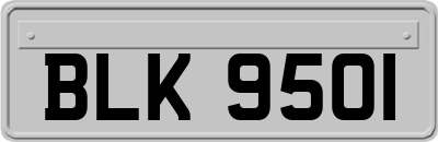 BLK9501