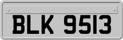 BLK9513