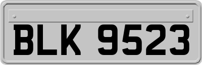 BLK9523