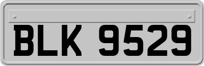 BLK9529