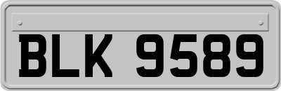 BLK9589