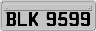 BLK9599
