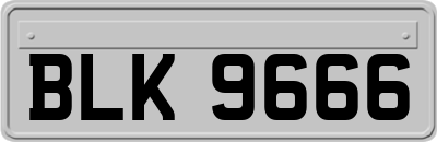 BLK9666