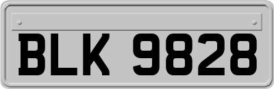 BLK9828