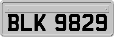 BLK9829