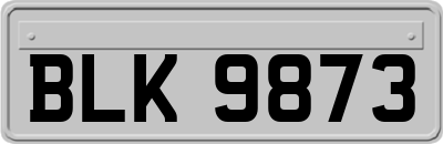 BLK9873