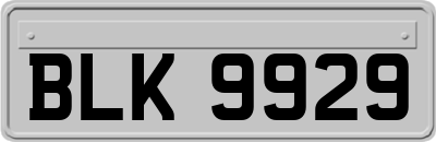 BLK9929