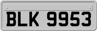 BLK9953