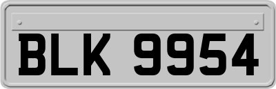 BLK9954