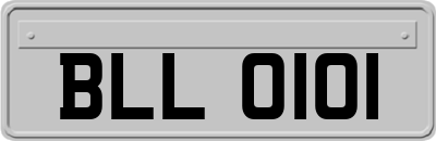 BLL0101