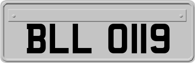 BLL0119