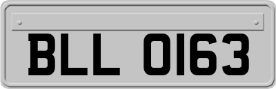 BLL0163