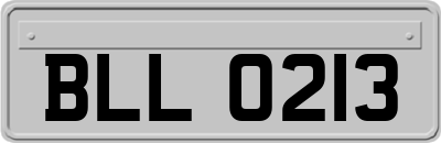 BLL0213