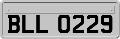BLL0229