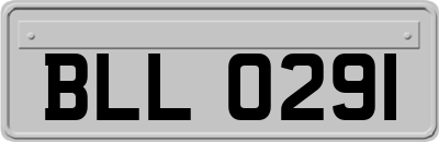 BLL0291