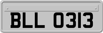 BLL0313