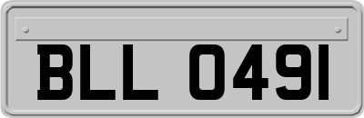 BLL0491
