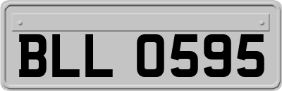 BLL0595