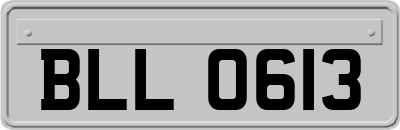 BLL0613
