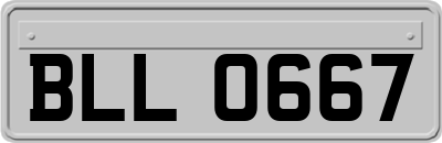 BLL0667