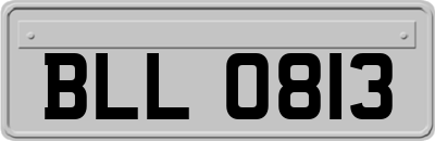 BLL0813