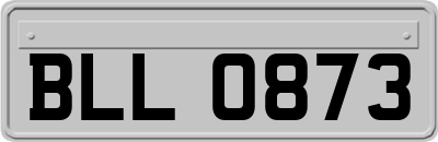 BLL0873