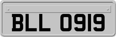 BLL0919