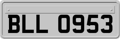 BLL0953