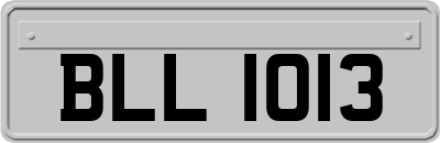 BLL1013