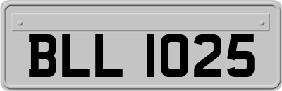BLL1025