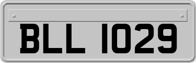 BLL1029