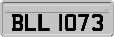 BLL1073