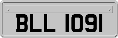BLL1091