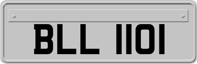 BLL1101