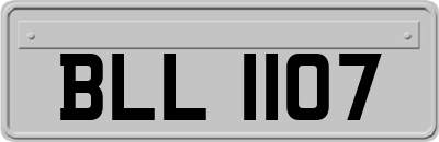 BLL1107