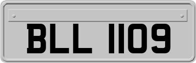 BLL1109