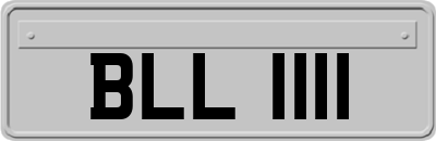 BLL1111