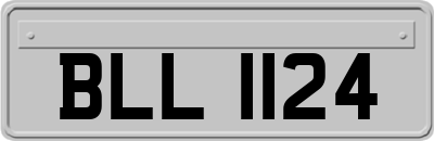 BLL1124