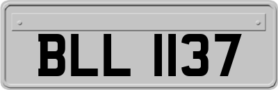 BLL1137