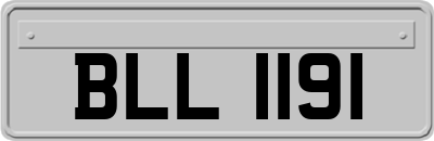 BLL1191
