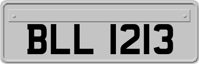 BLL1213