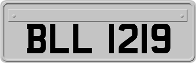 BLL1219
