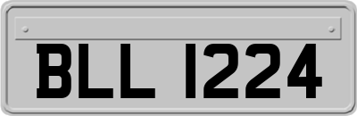 BLL1224